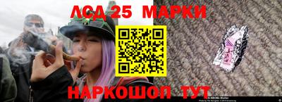 гидропоника Бийск