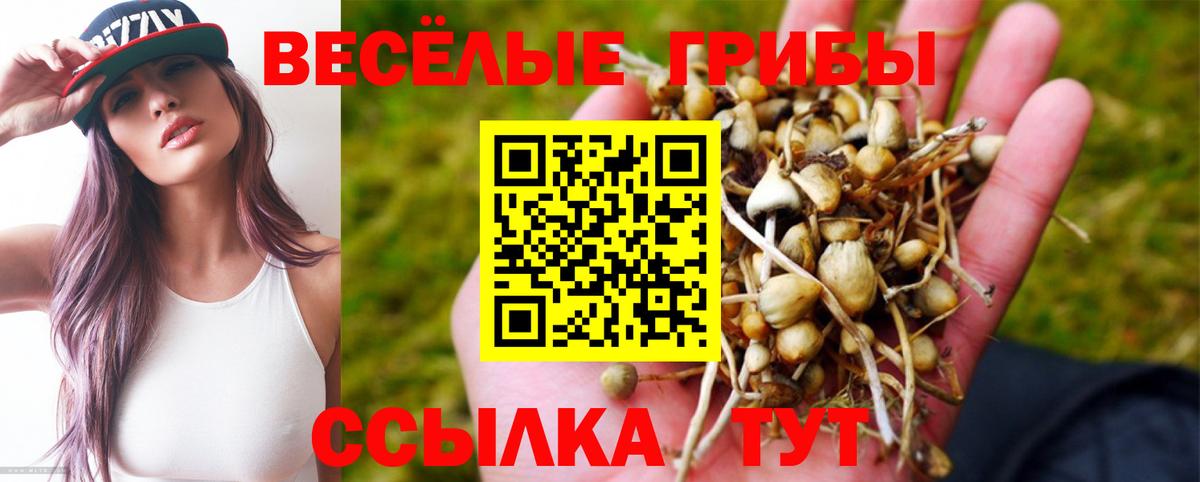 Псилоцибиновые грибы GOLDEN TEACHER Кирово-Чепецк